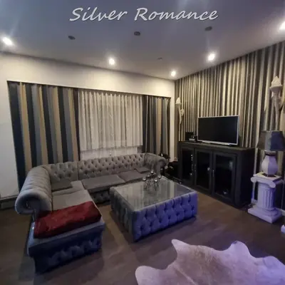 TV/Unterhaltungsangebot in der Unterkunft Romantikapartment Silver Romance