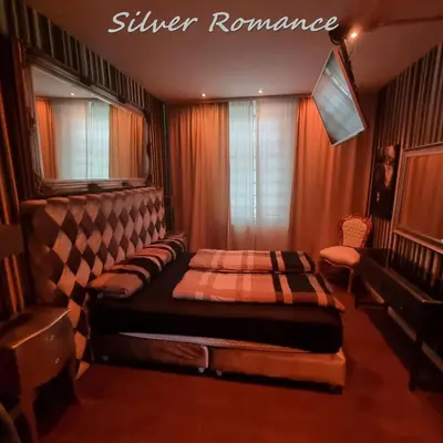 Ein Bett oder Betten in einem Zimmer der Unterkunft Romantikapartment Silver Romance