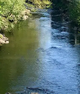 Blick auf einen Fluss in der Nähe des Hotels