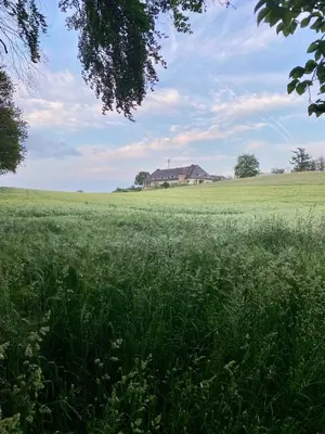 Naturlandschaft in der Nähe des Bed & Breakfasts