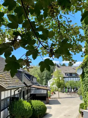 Ein Garten an der Unterkunft Hotel Gut Moschenhof