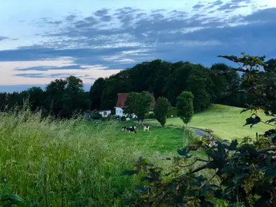 Naturlandschaft in der Nähe der Ferienwohnung