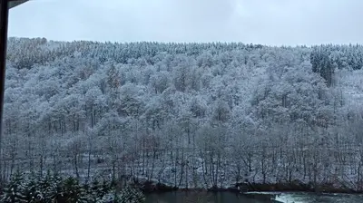Naturlandschaft in der Nähe der Ferienwohnung