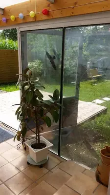Ein Garten an der Unterkunft Haus Nähe Flughafen und Messe