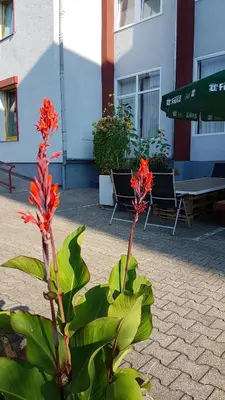 Ein Garten an der Unterkunft Ruhr Inn Hotel