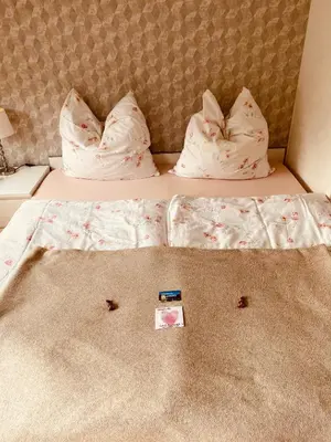 Ein Bett oder Betten in einem Zimmer der Unterkunft Ferienwohnung Wuppertal Ronsdorf Elias Eller