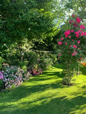 Ein Garten an der Unterkunft Pension Löw