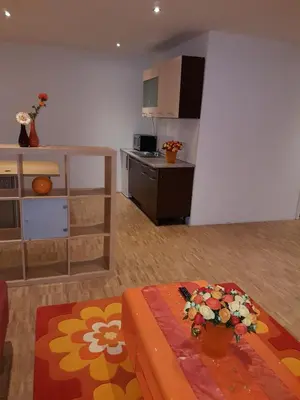Küche/Küchenzeile in der Unterkunft Wohnen im Souterrain einer Villa