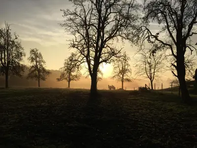 Naturlandschaft in der Nähe der Ferienwohnung