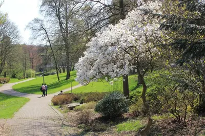 Ein Garten an der Unterkunft Ferienwohnung zum Eifgental