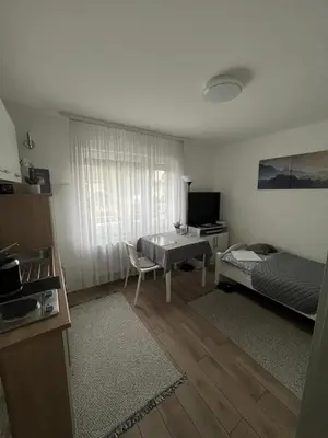 TV/Unterhaltungsangebot in der Unterkunft Rooms in Düsseldorf near the Airport/Fair