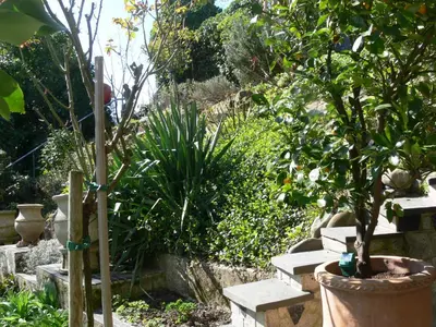 Ein Garten an der Unterkunft Die Villa Mettmann