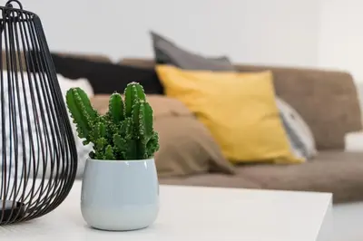Ein Sitzbereich in der Unterkunft Casa Teutoburgia