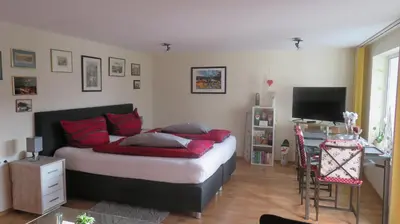 TV/Unterhaltungsangebot in der Unterkunft Apartment Christine