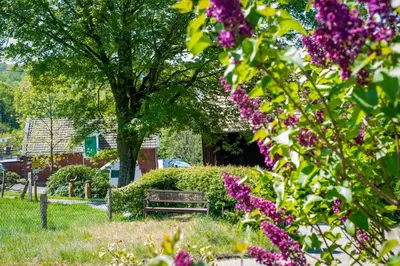 Ein Garten an der Unterkunft cruwzo I Apartment with garden Elberfeld