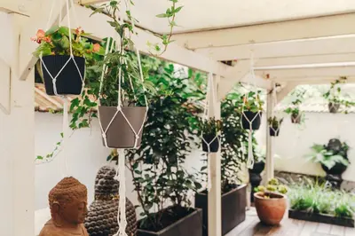 Ein Garten an der Unterkunft Boutique Hotel Düsseldorf Berial