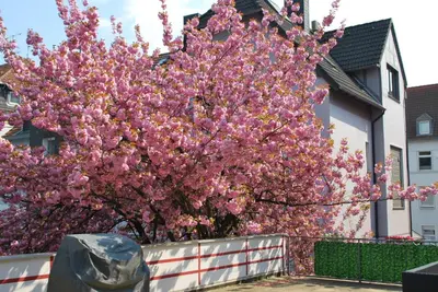 Ein Garten an der Unterkunft Hotel Am Sportpark