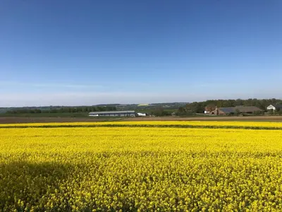 Naturlandschaft in der Nähe der Ferienwohnung