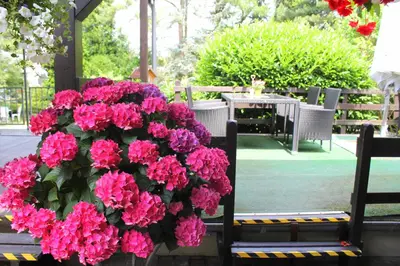 Ein Garten an der Unterkunft Haus Kastanienhof