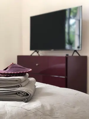 TV/Unterhaltungsangebot in der Unterkunft Das Ministerhaus - 1-2 Zimmer in historischer Villa