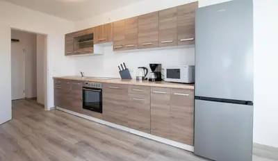 Küche/Küchenzeile in der Unterkunft T&K Apartments Comfortable 3 Room Apartments with Balcony