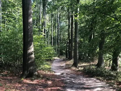 Naturlandschaft in der Nähe der Villa