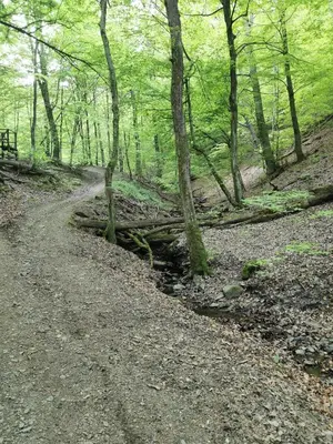 Naturlandschaft in der Nähe der Ferienwohnung