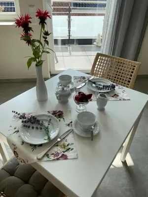 Grundriss der Unterkunft Studio - Apartment Steinmetz mit Balkon