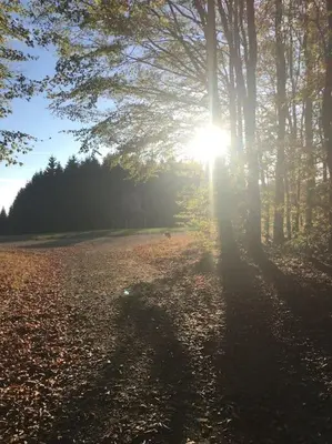 Naturlandschaft in der Nähe der Ferienwohnung