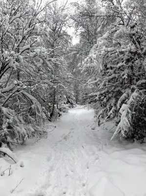 SauerlandBlick Ferienwohnung im Winter