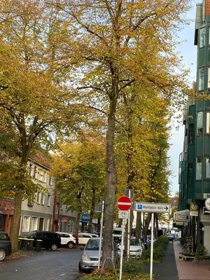 Die Umgebung um die Ferienwohnung