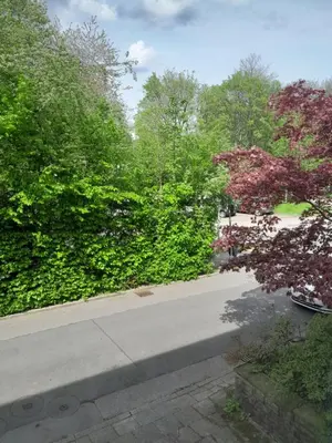 Ein Garten an der Unterkunft Zuhause im Grünen