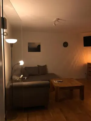 TV/Unterhaltungsangebot in der Unterkunft Haus am Mühlenkämpchen Wiesengrund